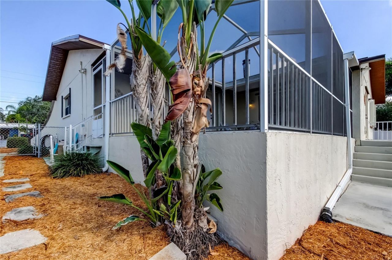 212 Westwinds Drive, Palm Harbor, FL 34683 Photo