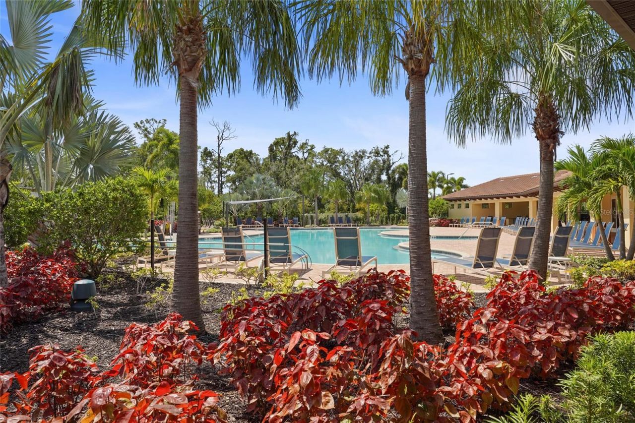 17448 Harvest Moon Way, Bradenton, FL 34211 Photo