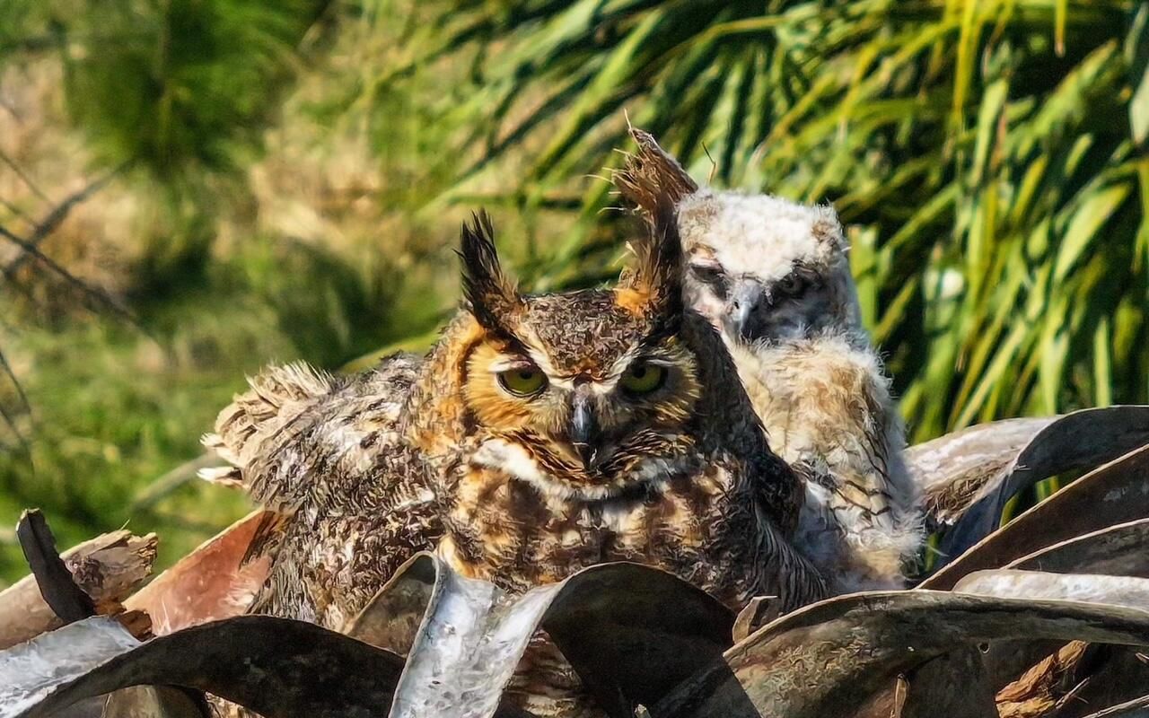 6045 21st Street Sw, Vero Beach, FL 32968 Photo