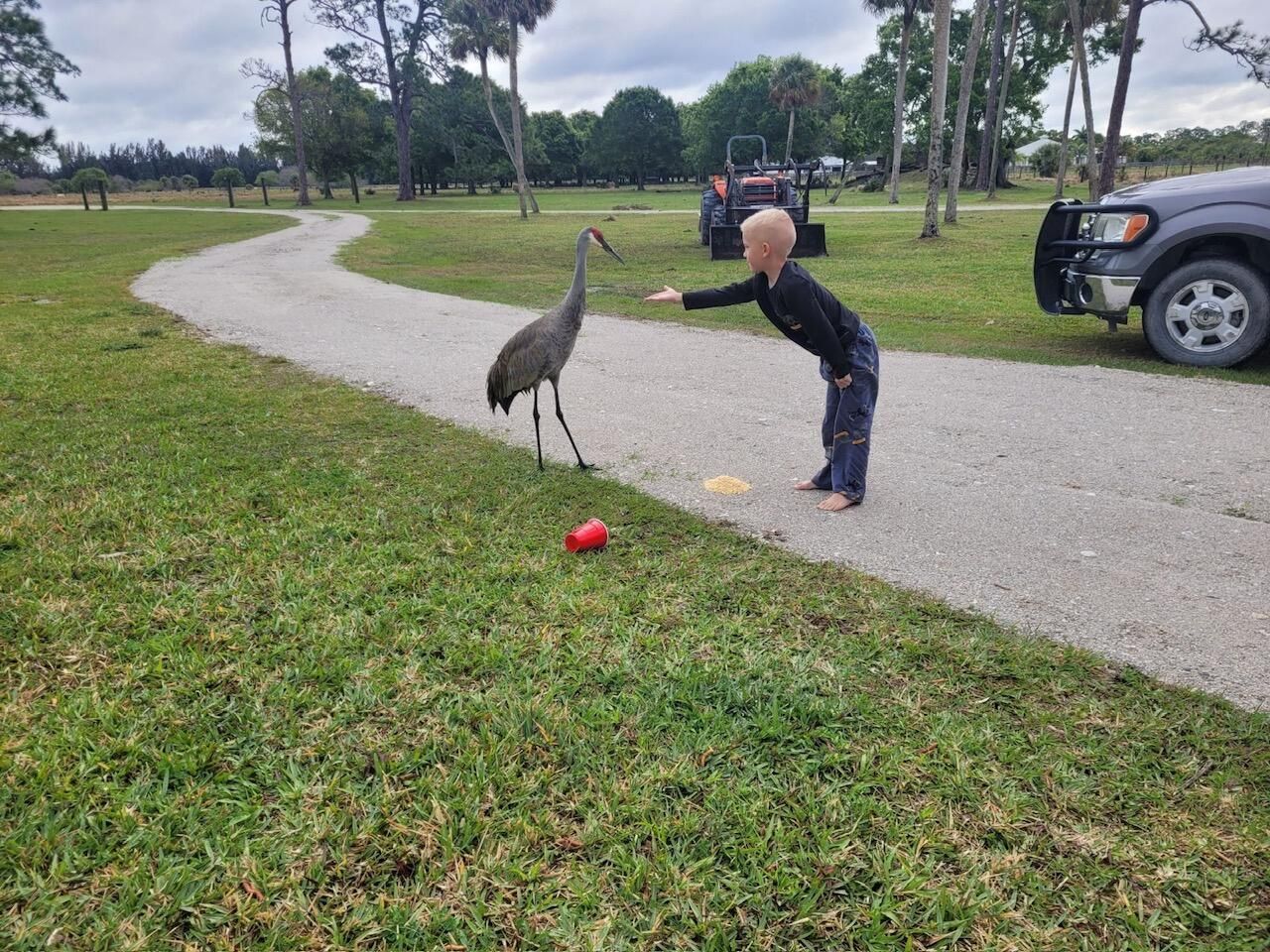 6045 21st Street Sw, Vero Beach, FL 32968 Photo