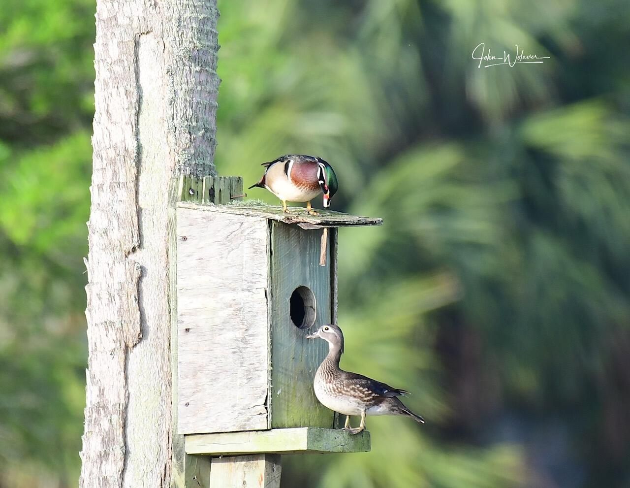 6045 21st Street Sw, Vero Beach, FL 32968 Photo