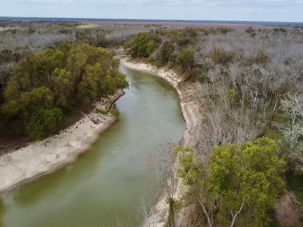 15308 W FM 321, Tennessee Colony, TX 75861