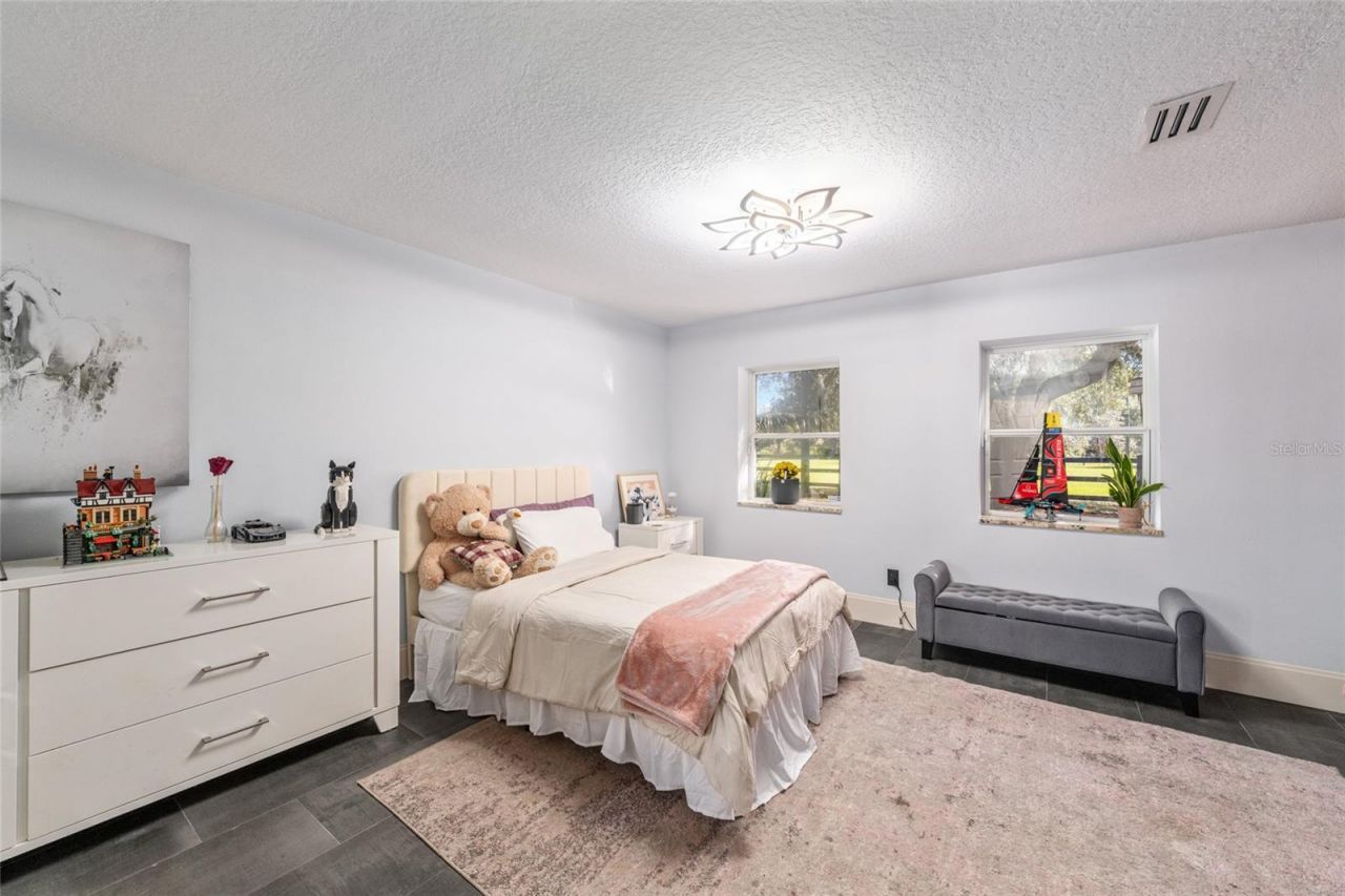 10310 Gopher Road, Howey in the Hills, FL 34737 Photo