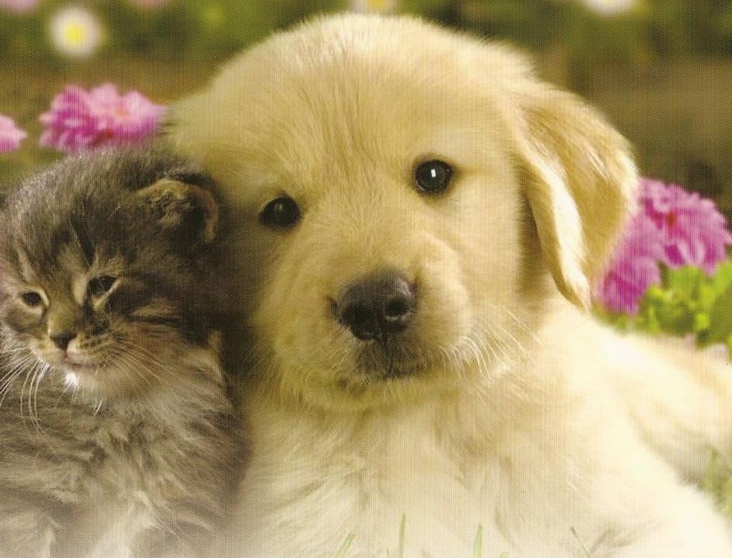 10110 44th Way S, Unit 386, Boynton Beach, FL 33436 Photo