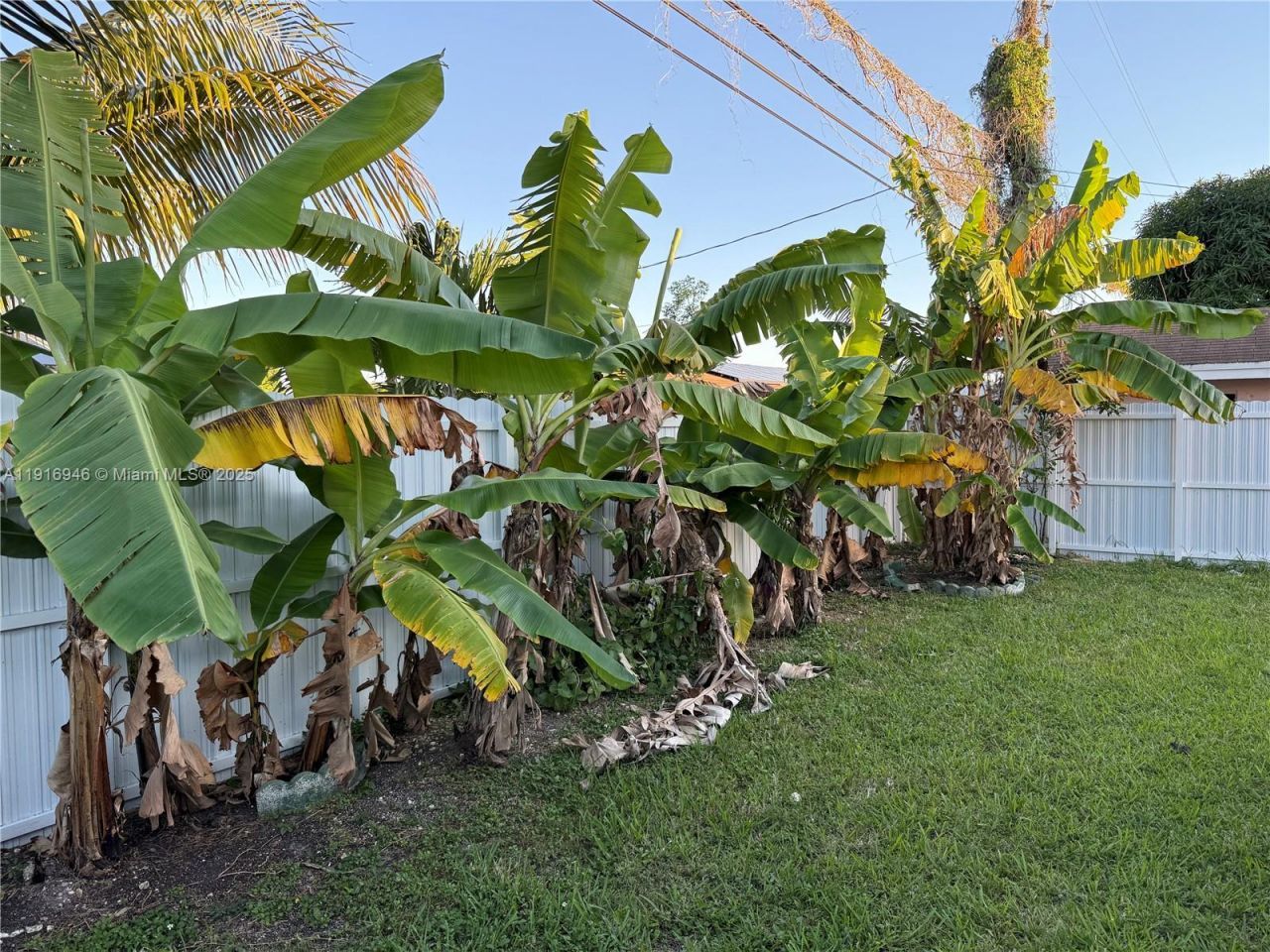 16605 SW 103rd Ct, Miami, FL 33157 Photo