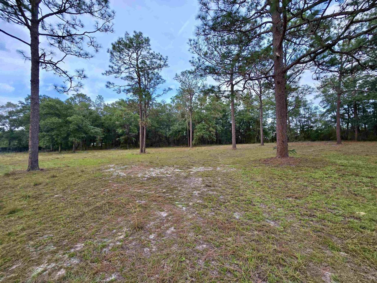 300 Ross Road, Tallahassee, FL 32305 Photo