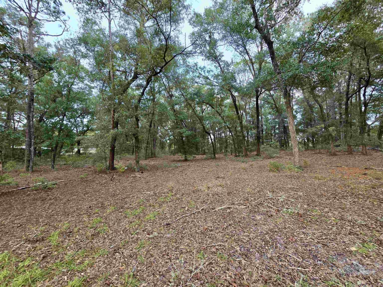 300 Ross Road, Tallahassee, FL 32305 Photo