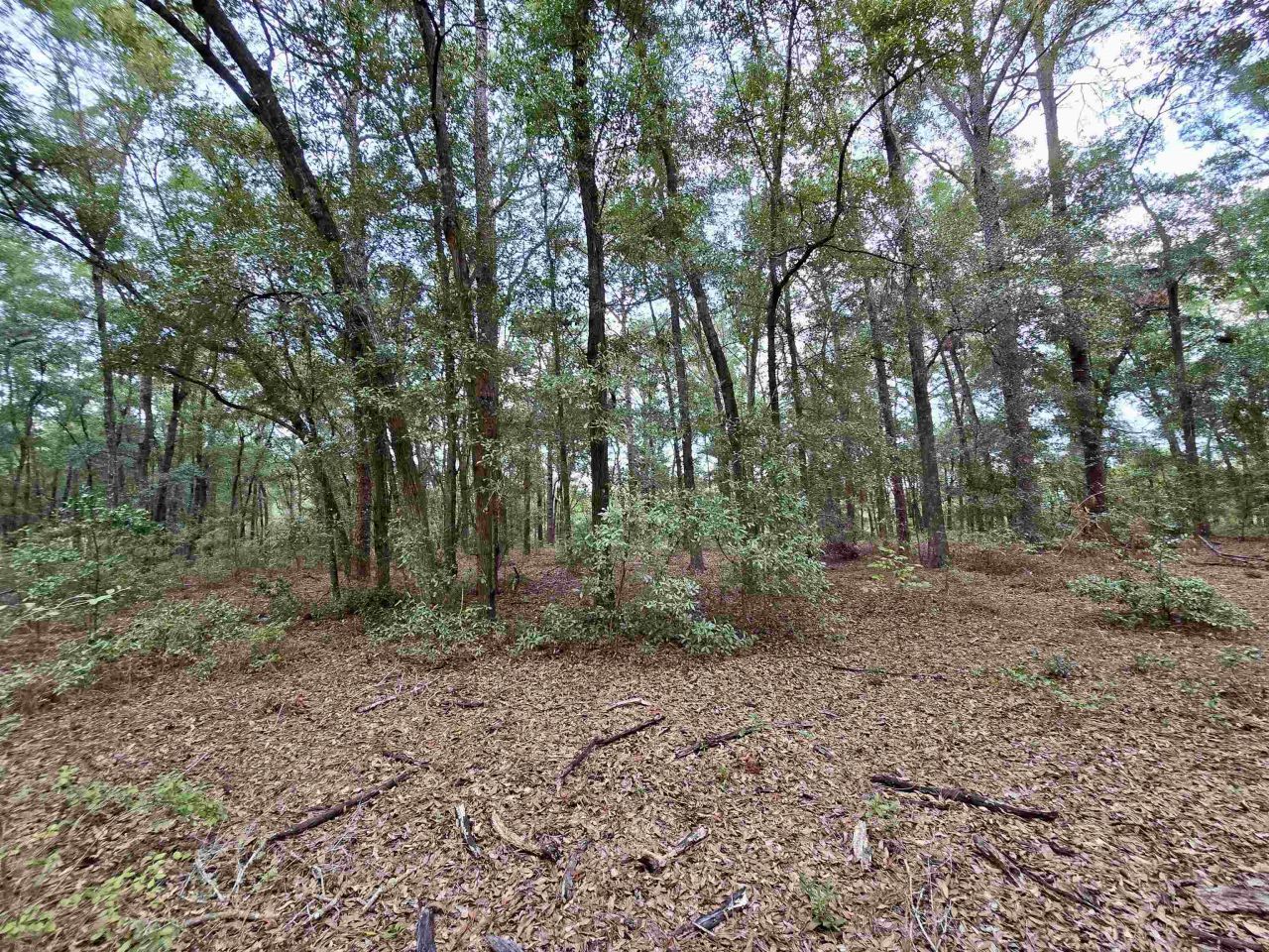 300 Ross Road, Tallahassee, FL 32305 Photo
