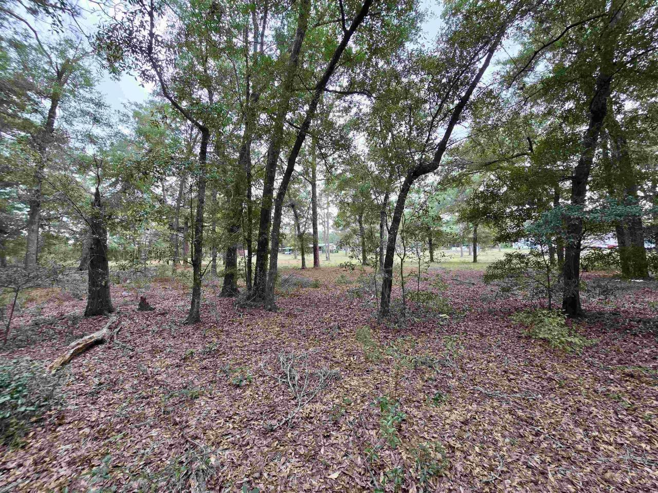 300 Ross Road, Tallahassee, FL 32305 Photo