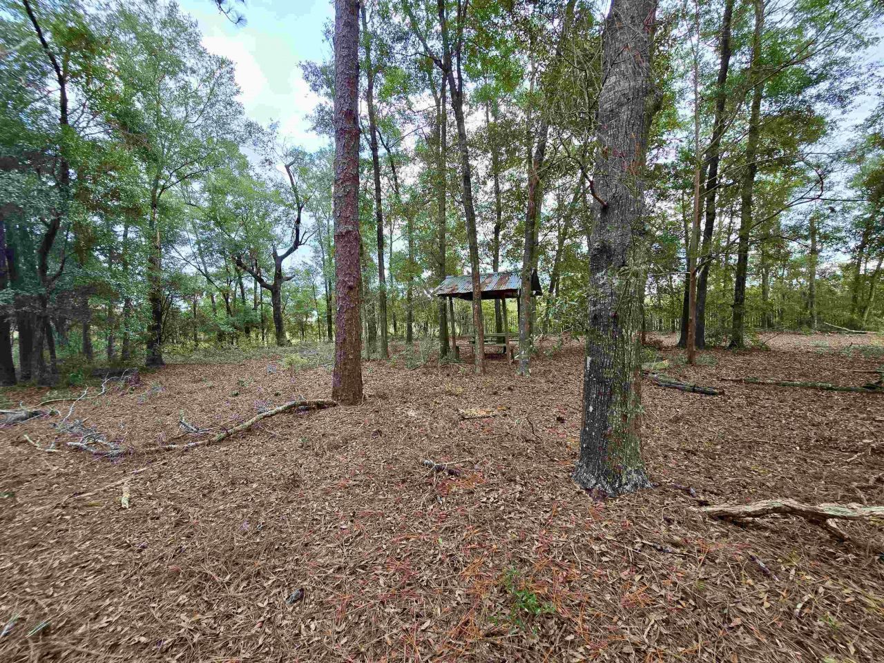 300 Ross Road, Tallahassee, FL 32305 Photo