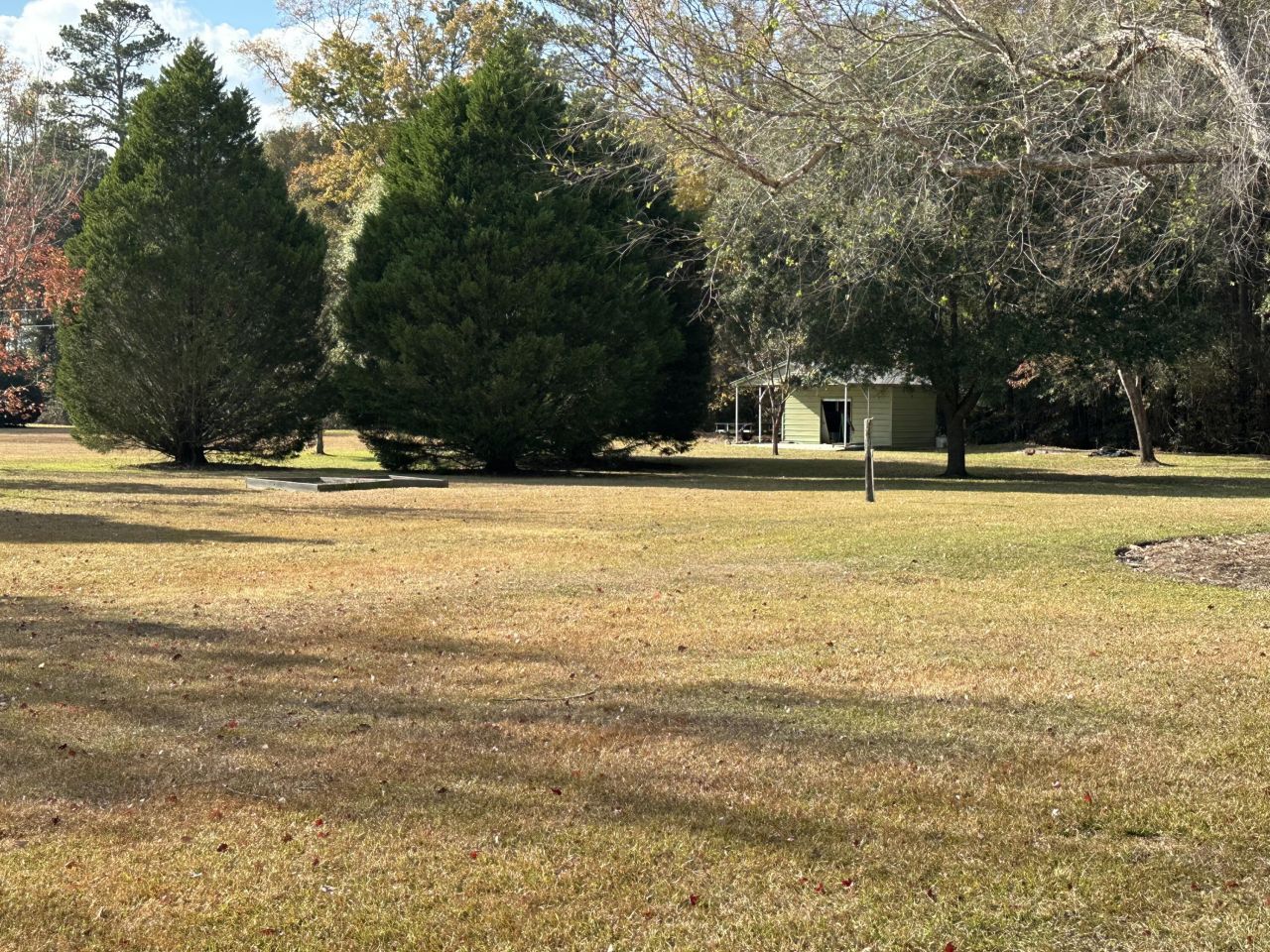 160 Shuler Belt Road Photo 11