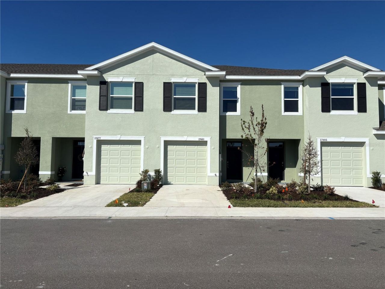 17481 Spanish Oak Loop, Land O Lakes, FL 34638 Main Photo