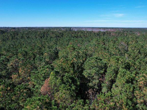 7.90 Acres-TBD Puncheon Creek Dr., Andrews, SC 29510