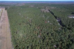 7.90 Acres-tbd Puncheon Creek Dr.  photo 4