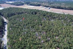 7.90 Acres-tbd Puncheon Creek Dr.  photo 4