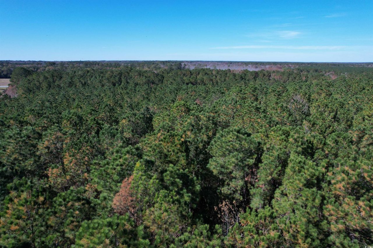 793 Puncheon Creek Dr.  Photo 10