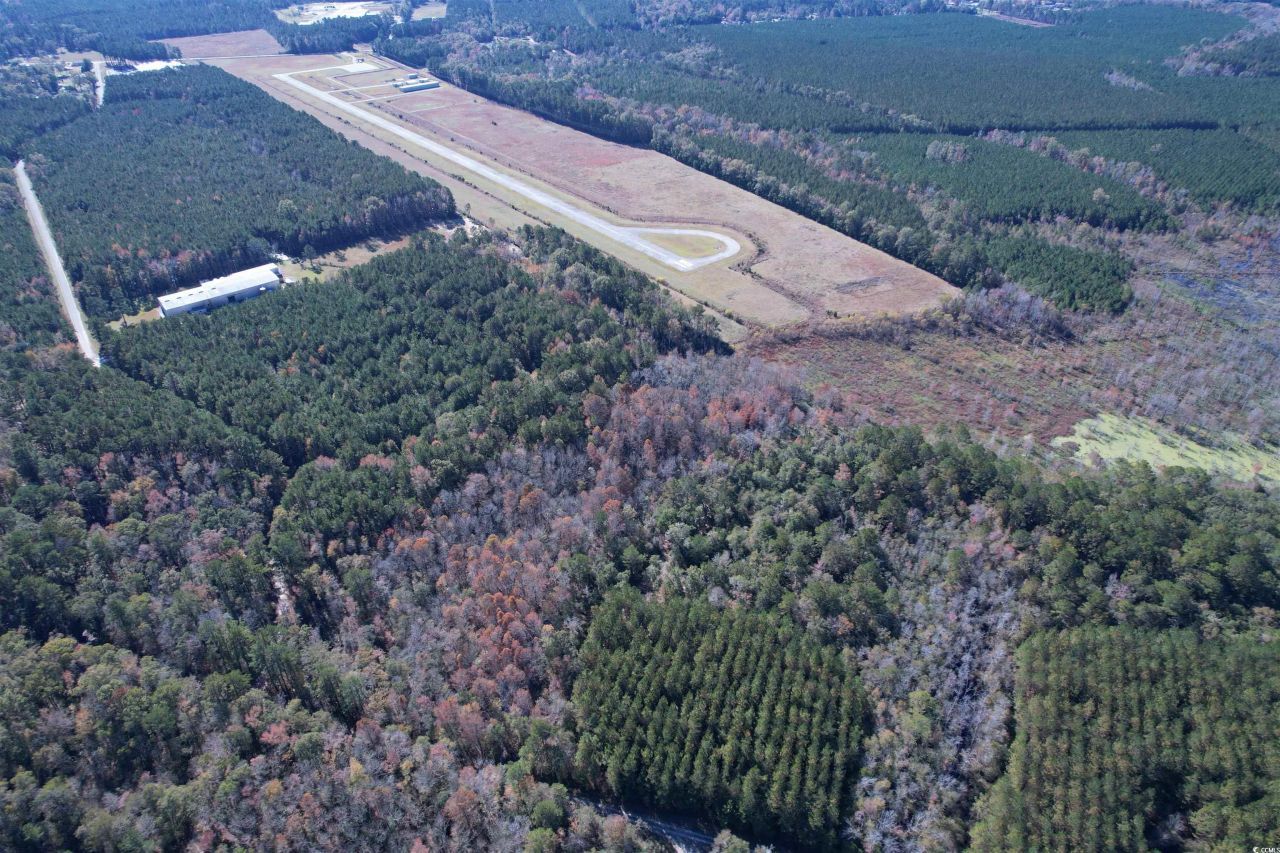 793 Puncheon Creek Dr.  Photo 11