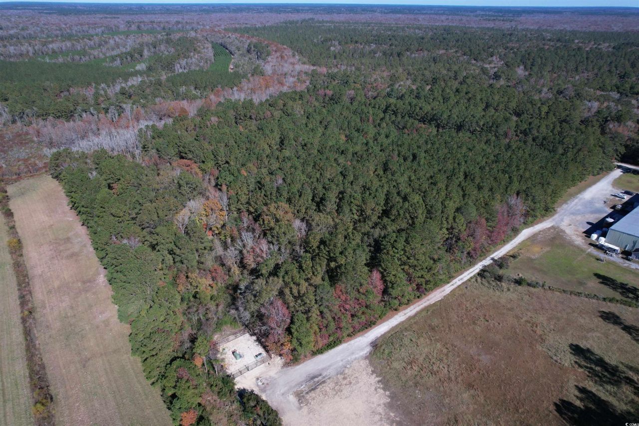 793 Puncheon Creek Dr.  Photo 12