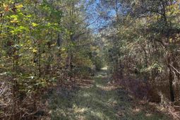 793 Puncheon Creek Dr.  photo 4