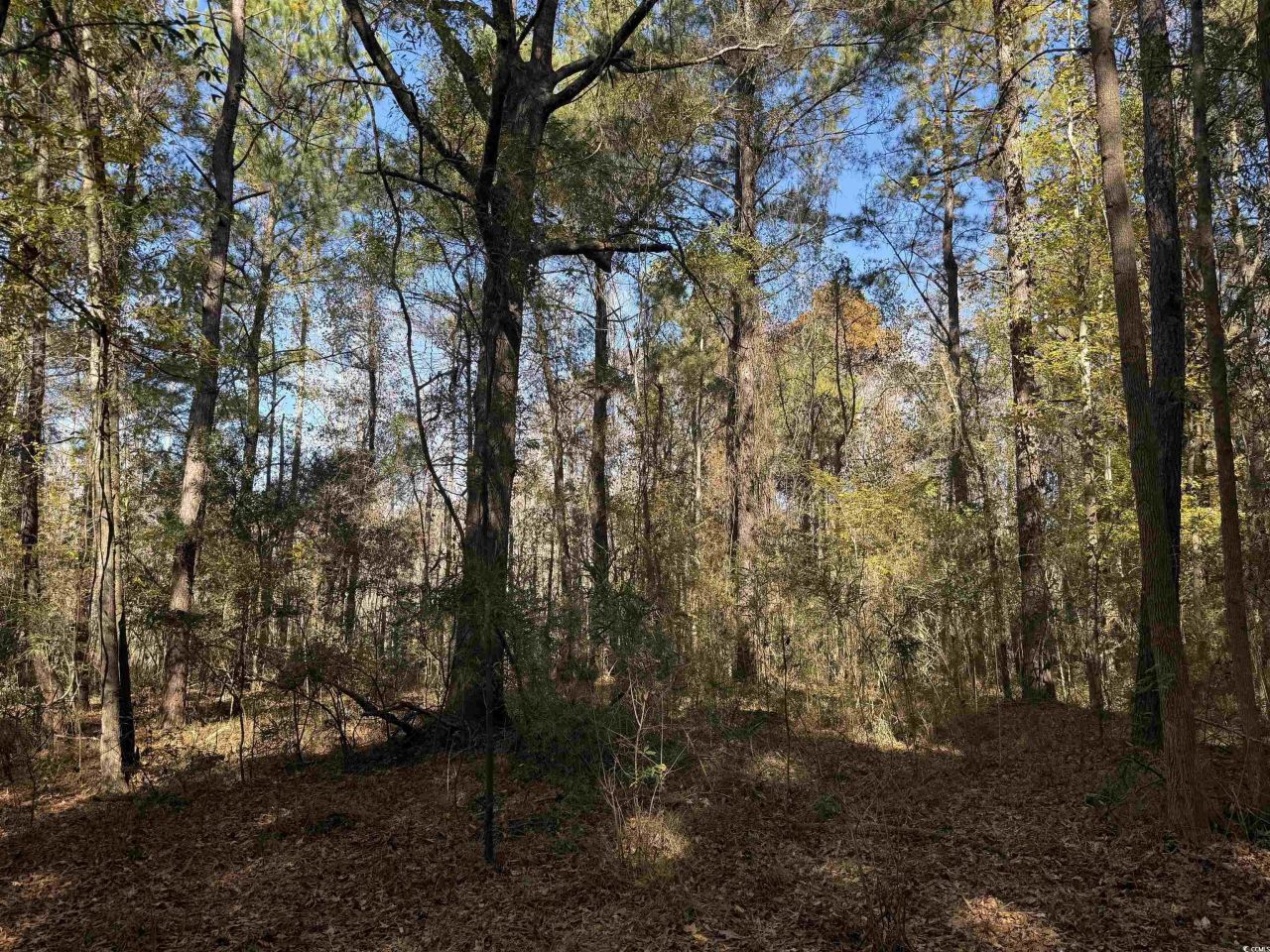 793 Puncheon Creek Dr.  Photo 5