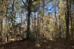 793 Puncheon Creek Dr.  photo 4