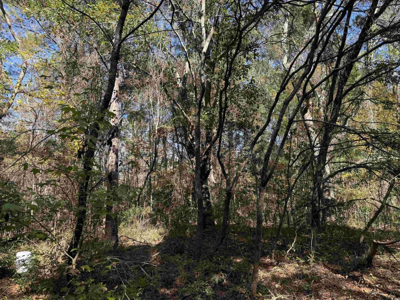 793 Puncheon Creek Dr.  Photo 6