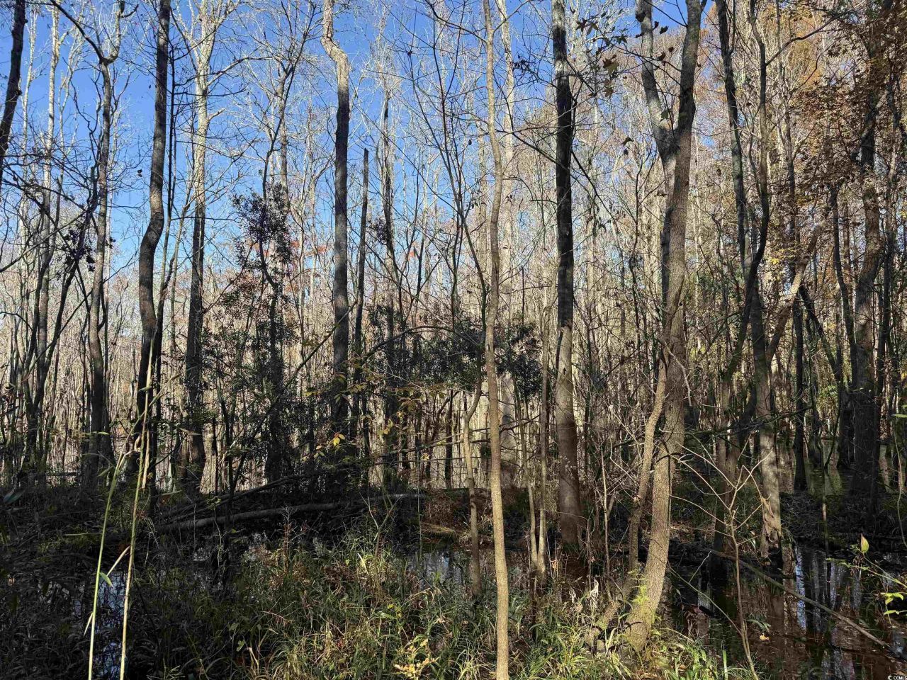 793 Puncheon Creek Dr.  Photo 7