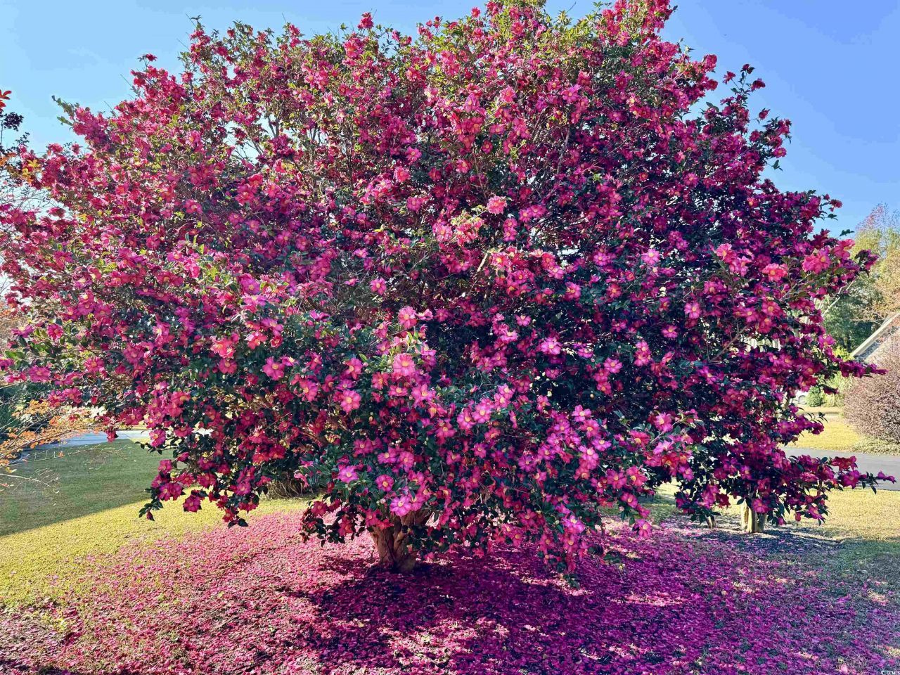 40 Governor Boone Ln. Photo 20