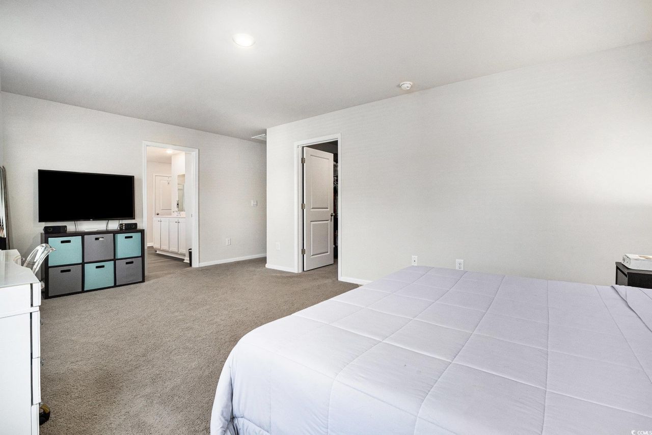 294 Black Pearl Way Photo 20