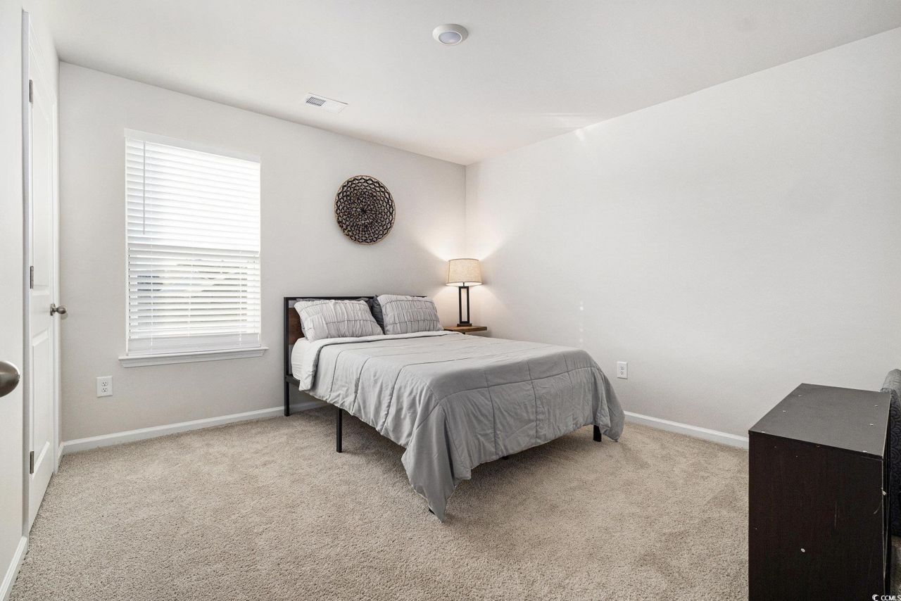 294 Black Pearl Way Photo 25