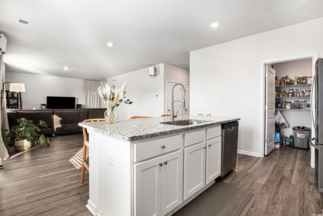 294 Black Pearl Way Photo 9