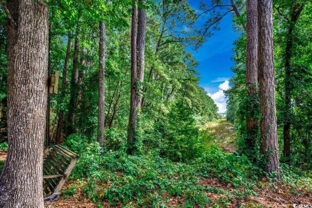 4525 Greenbriar Dr. Photo 7