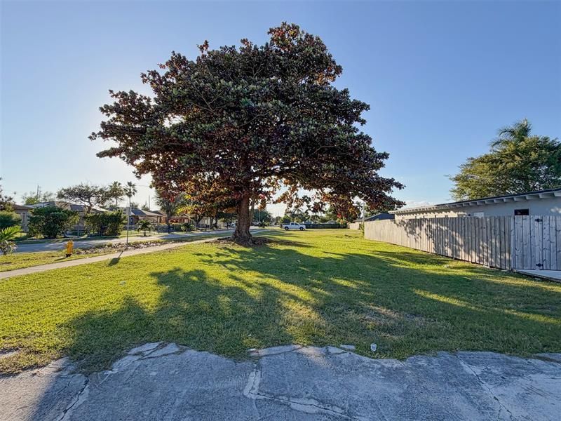 548 SW 6th Ter, Homestead, FL 33030 Photo