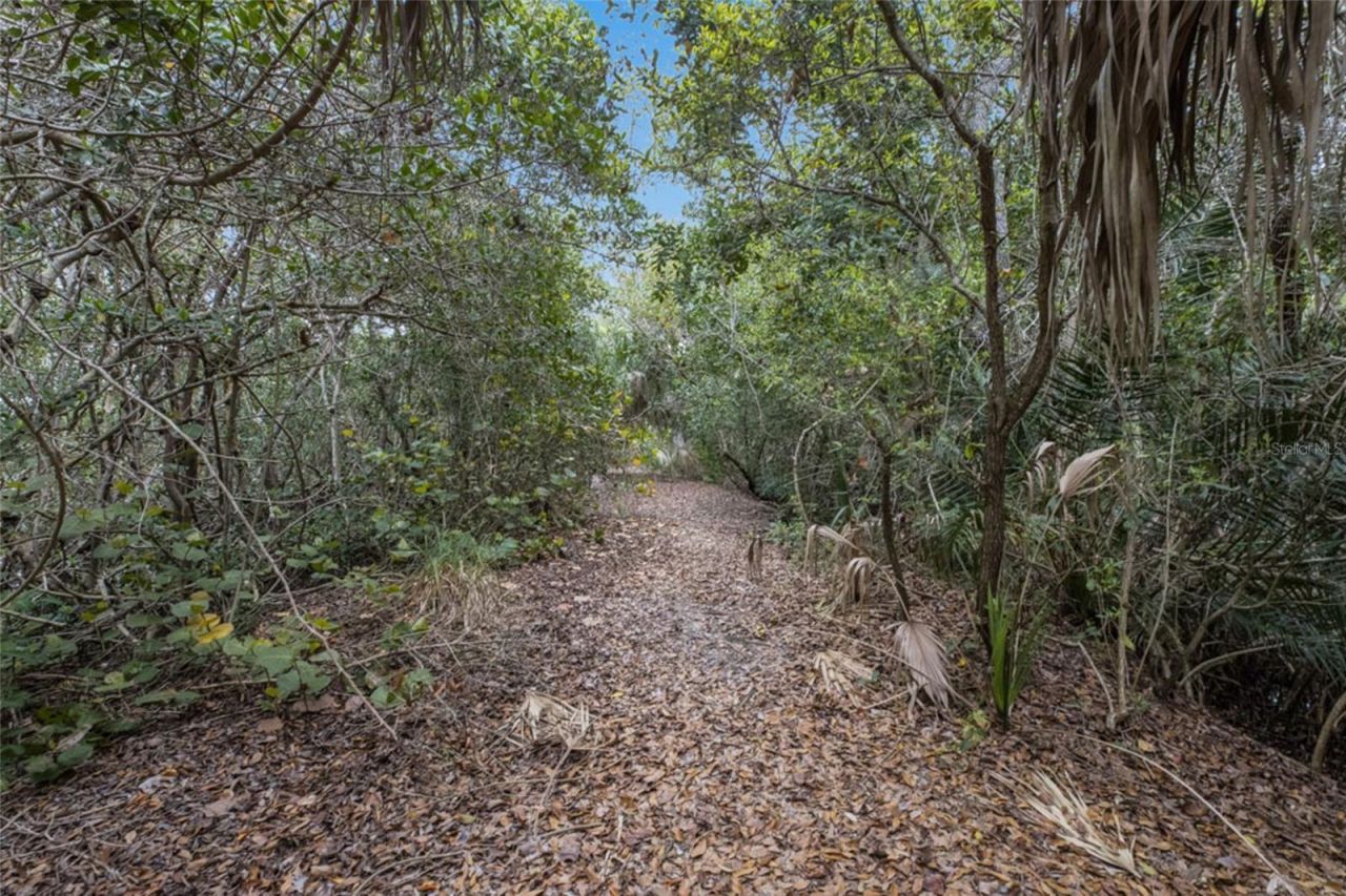 1015 34th Drive W, Palmetto, FL 34221 Photo