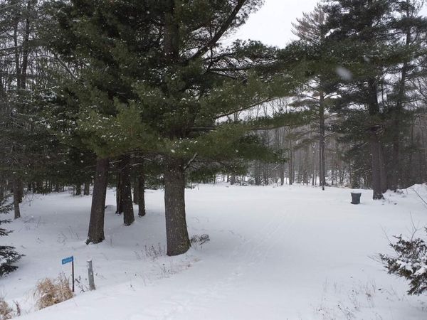 N10595 STATE HIGHWAY 45, Birnamwood, WI 54414