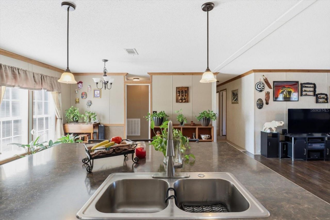 11490 N Wahoo Trail, Dunnellon, FL 34433 Photo