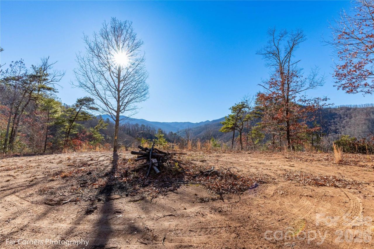 99999 Sourwood Road, Canton, NC 28716 Main Photo