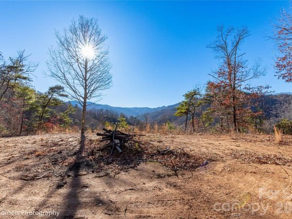 99999 Sourwood Road, Canton, NC 28716
