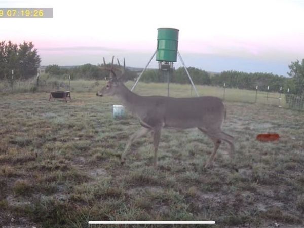 542 County Road 2275 , Lampasas, TX 76550