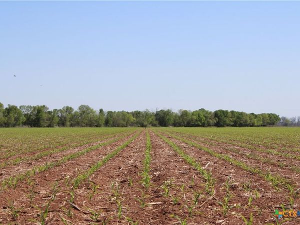 TBD County Road 301 , Marlin, TX 76661