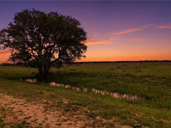 TBD FM 530, Hallettsville, TX 77964