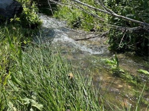 16071 FM 107 , Moody, TX 76657