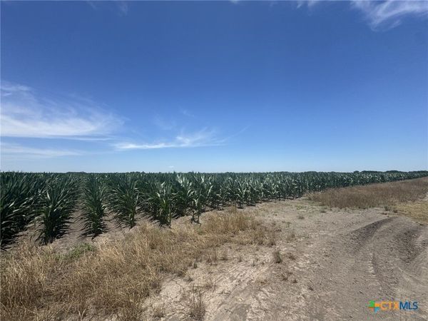 TBD CR 335 Road, Louise, TX 77455