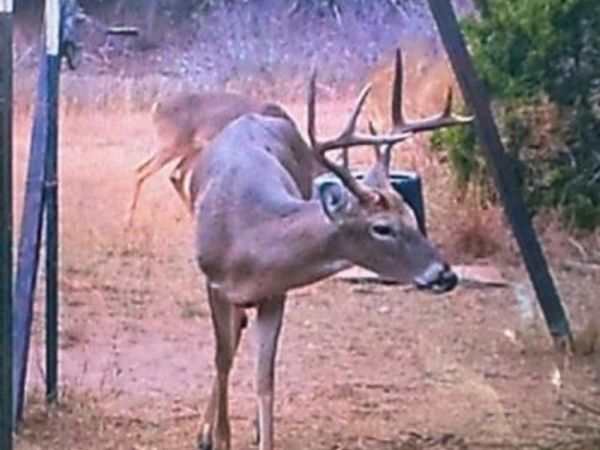 0 TBD Us-183 , Lometa, TX 76853