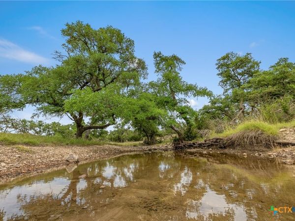 65 Miles Ln , Harper, TX 78631