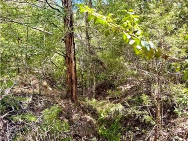 TBD Rabel Road , Rosanky, TX 78953