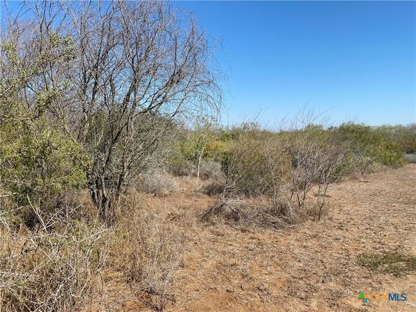 00 CR 3081, Orange Grove, TX 78372