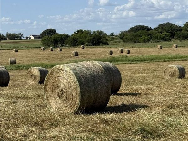 226 Fm 1107, Stockdale, TX 78160