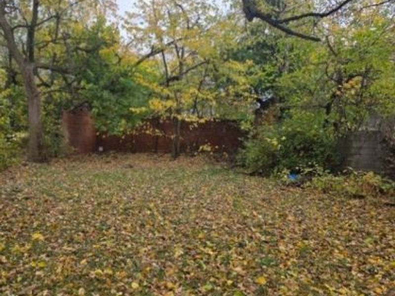 1265 E 80th Street, Cleveland, OH 44103 Photo 9