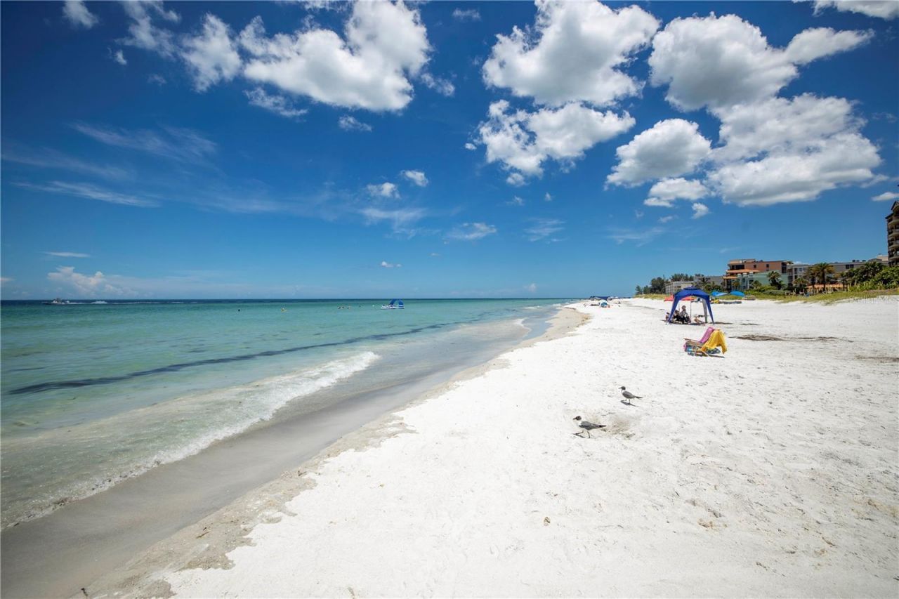 19505 Gulf Boulevard, Unit 304, Indian Shores, FL 33785 Photo